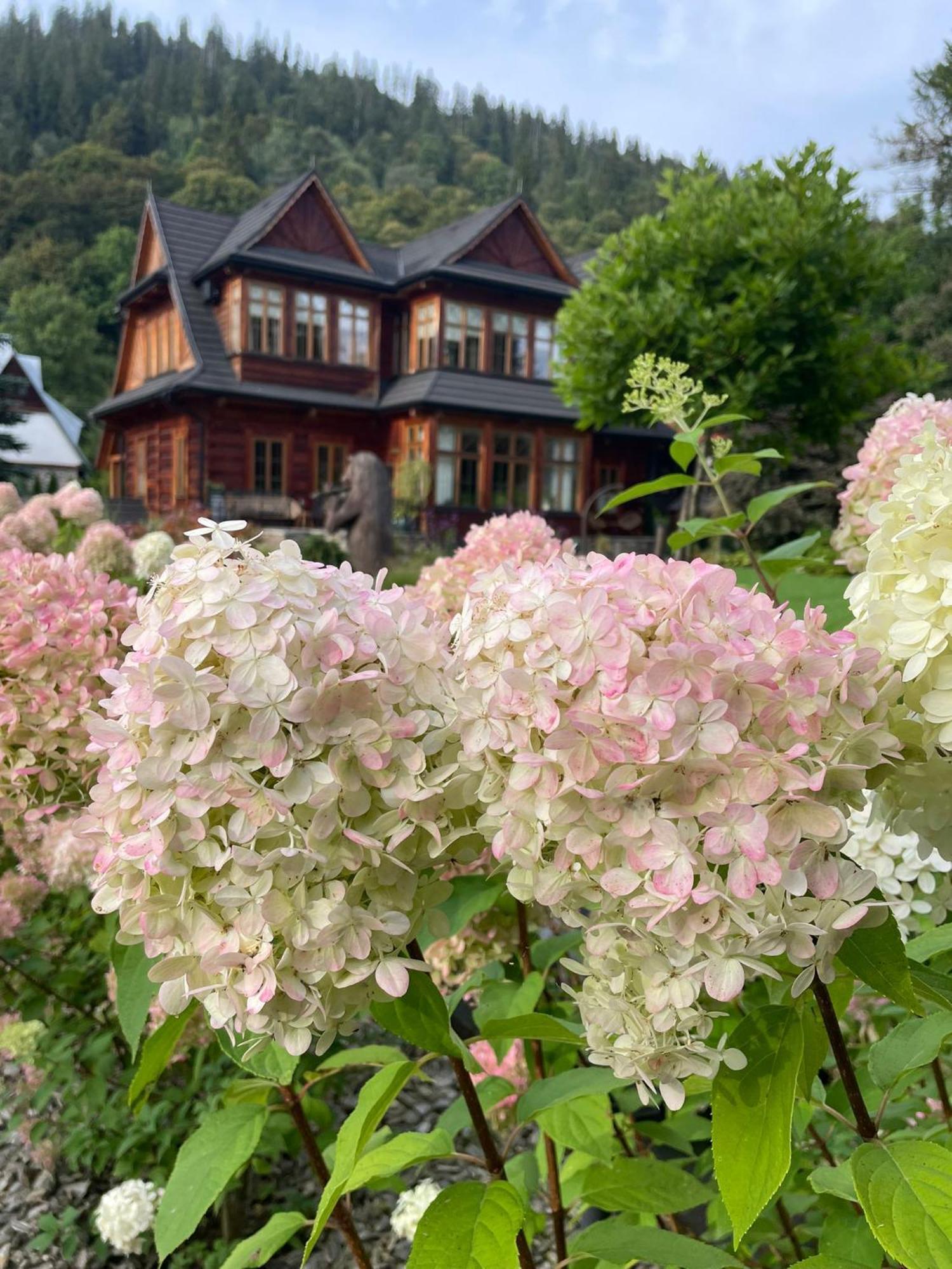 Niedzwiedzia Residence Poronin Buitenkant foto